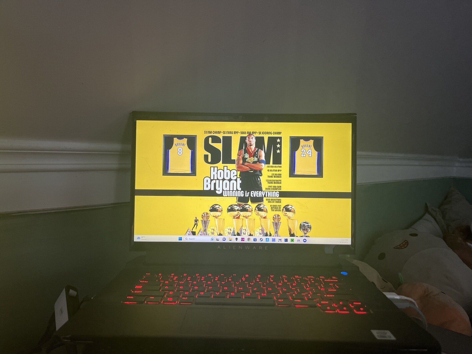 Alienware M15 R3 15.6 inch (512GB, Intel Core i7 10th Gen, 5.10GHz, 32GB) Gaming
