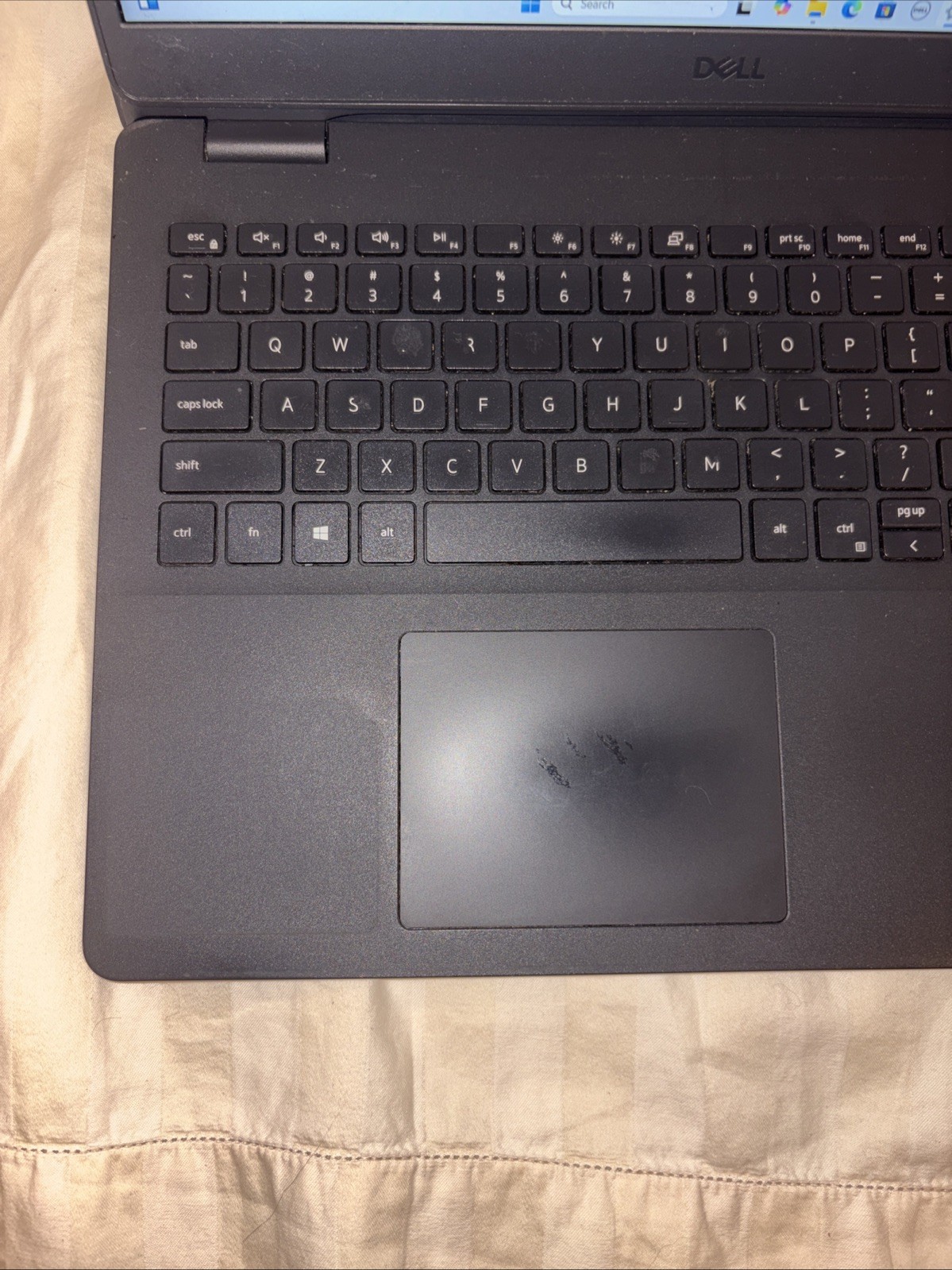 Dell Inspiron 3501 15.5in i5-1035G1 1.0 GHz 8GB 256GB 2019 WIN 11 Home