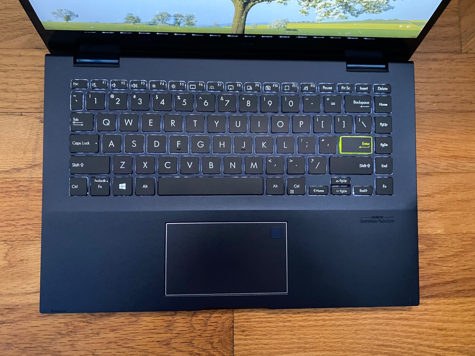 ASUS VivoBook Flip 14 TM420UA (Ryzen 5 5500U) Windows 11, Comes with Charger