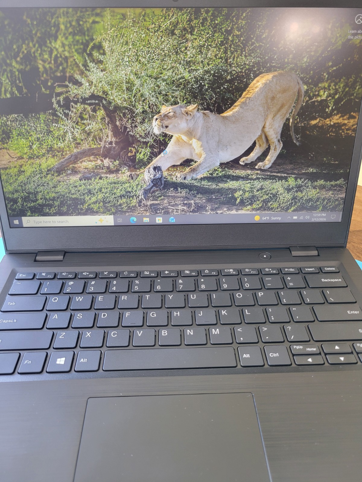 This Is a Lenovo 14 Model: TYPE 81MQ- 000JUS – Used, Clean Win Installed