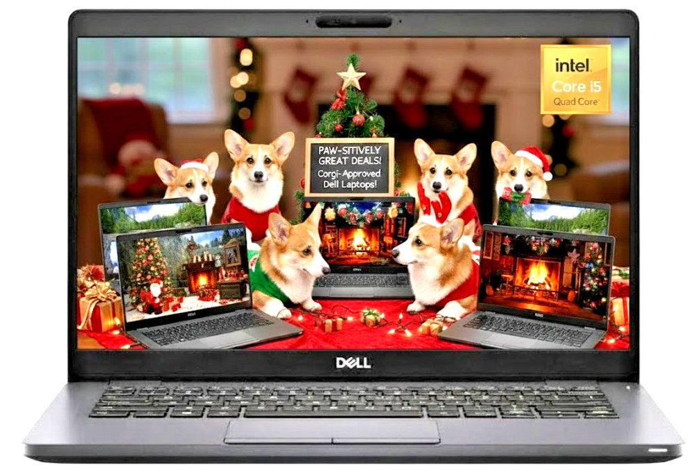 2-in-1 TouchScreen DELL XPS 13.4″ Laptop: Intel i7-1165G7! 16GB RAM! 512GB SSD!