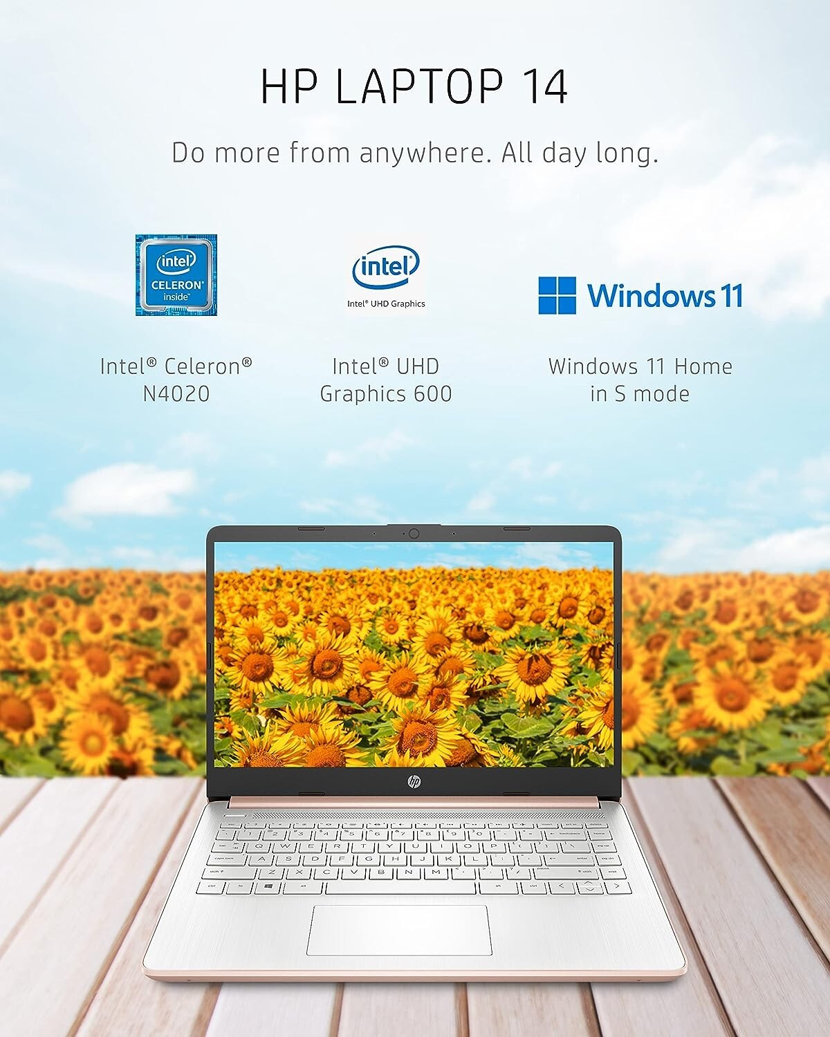 Newest HP Touch 14” Laptop Intel 2-Core CPU 16GB RAM 320GB (64+256) Win11 Rose