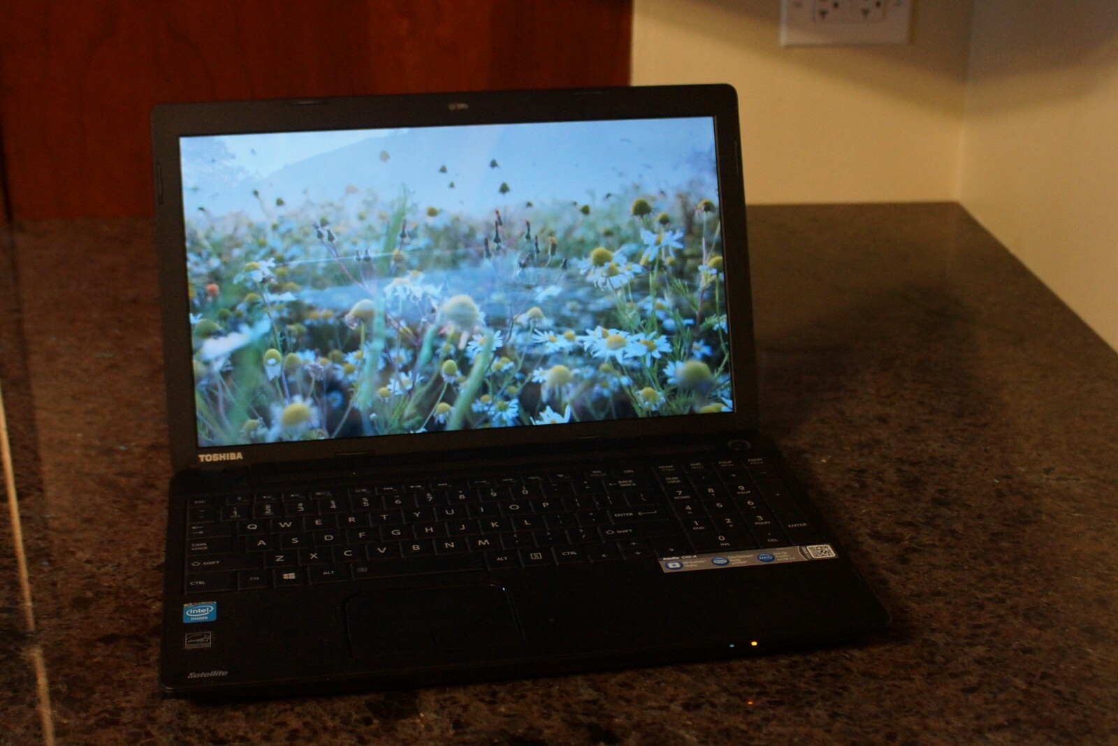 Toshiba C55 1.80GHz 4GB RAM 500GB HDD Updated to 20H2 Version Windows 10PRO