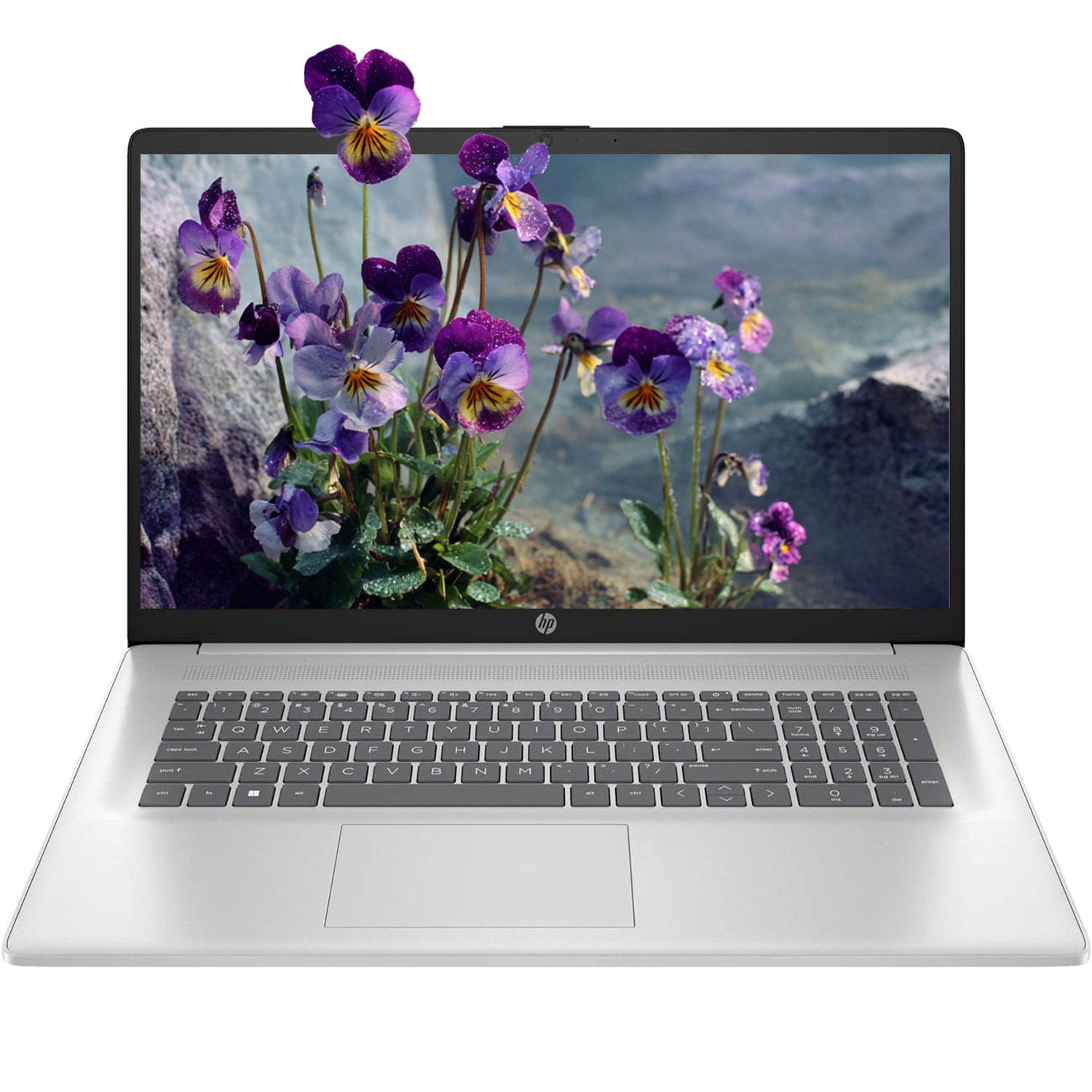 HP 17.3 in FHD Laptop up to 4.30 GHz AMD Ryzen 5 UP TO 64GB RAM 2TB – open box