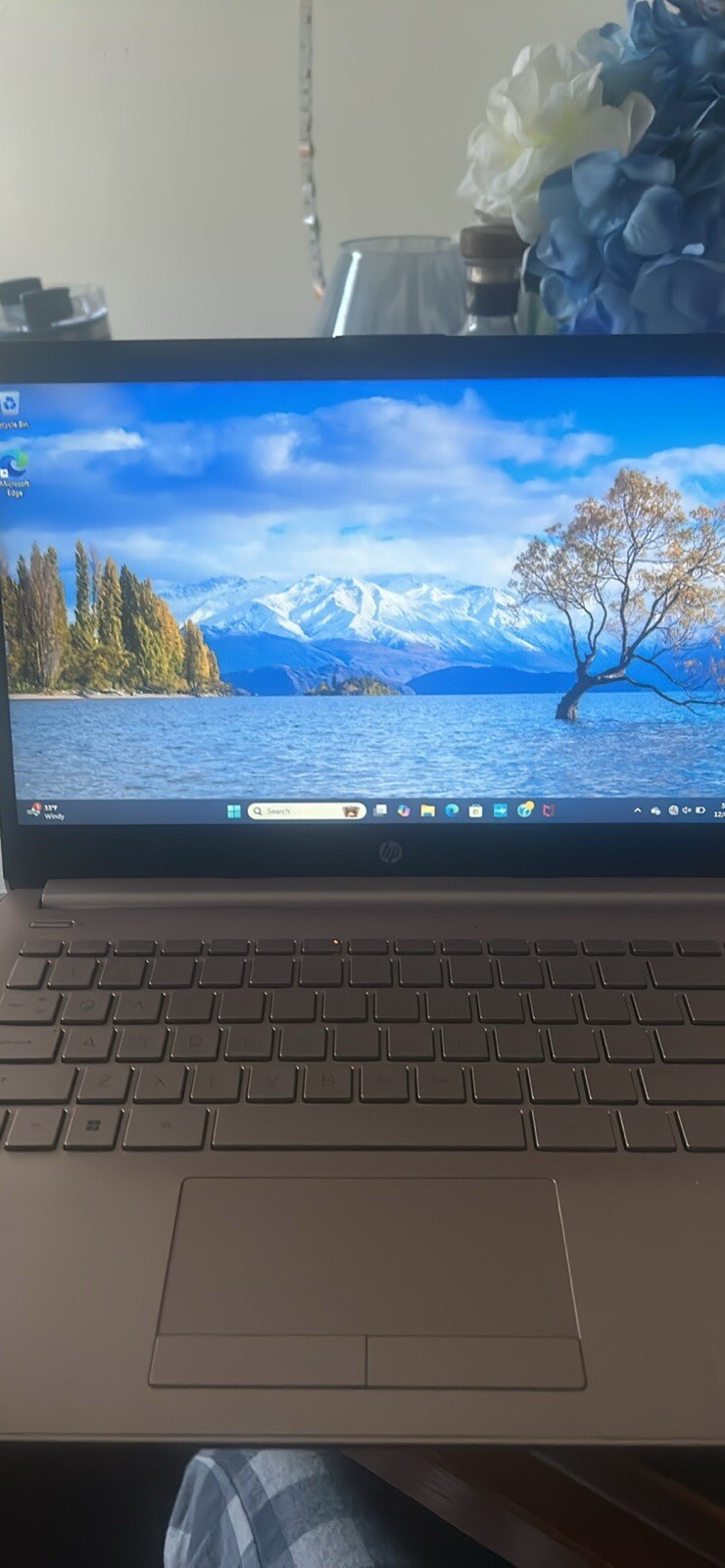 Pink HP Laptop