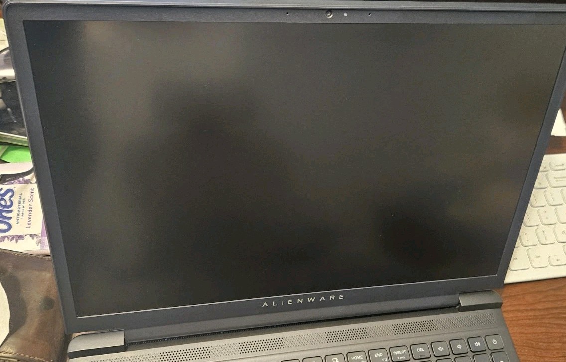 Alienware 15.3″ WUXGA 165Hz Gaming Laptop, AMD Ryzen 5 220, NVIDIA GeForce…
