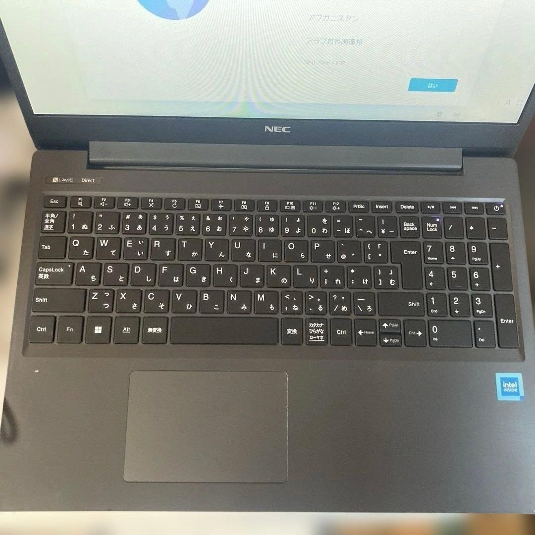 NEC LAVIE Direct N15(S) Celeron 6305 8GB 256GB SSD Win11 DVD Laptop