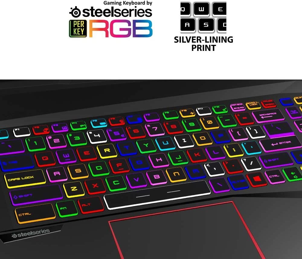 MSI GE75 Raider 10SGS-287 17.3″ 300Hz 3ms Gaming Laptop Intel Core i7-10875H RTX