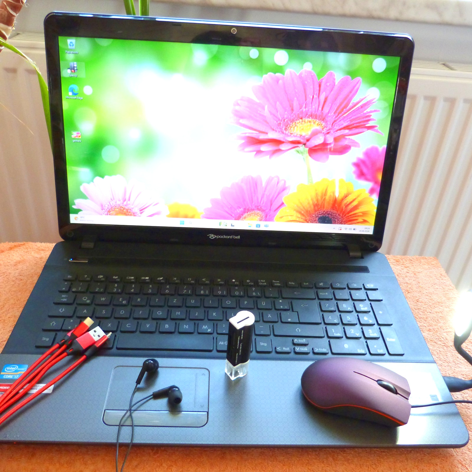 PB LS11 Multimedia 17 inch HDPLUS I 1TB SSD Windows 11 l 8GB RAM Core i7 DVDRW