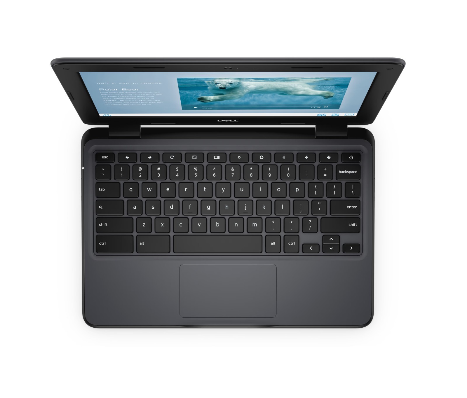 Dell Chromebook 3100 11.6″ N4020 – Refurb