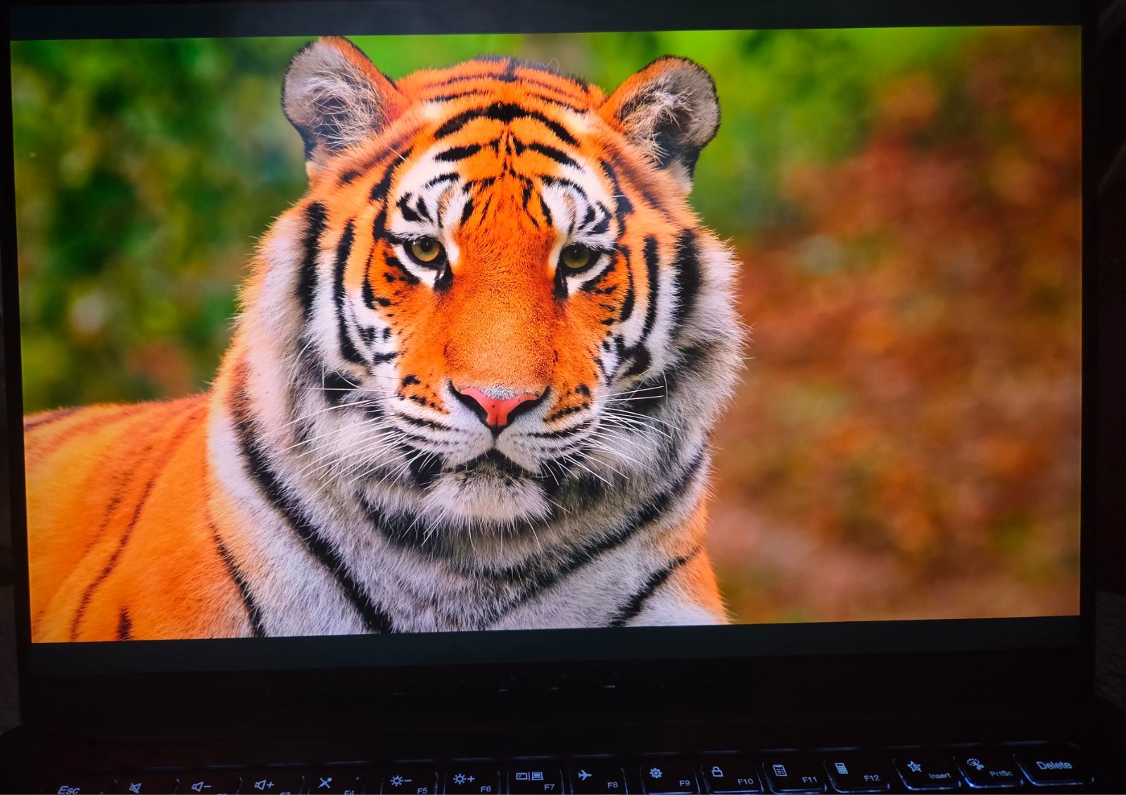 Lenovo Slim Pro 9 14IRP8 3K TOUCH 2.4 GHz i7-13705H 32GB 1TB SSD RTX 4050
