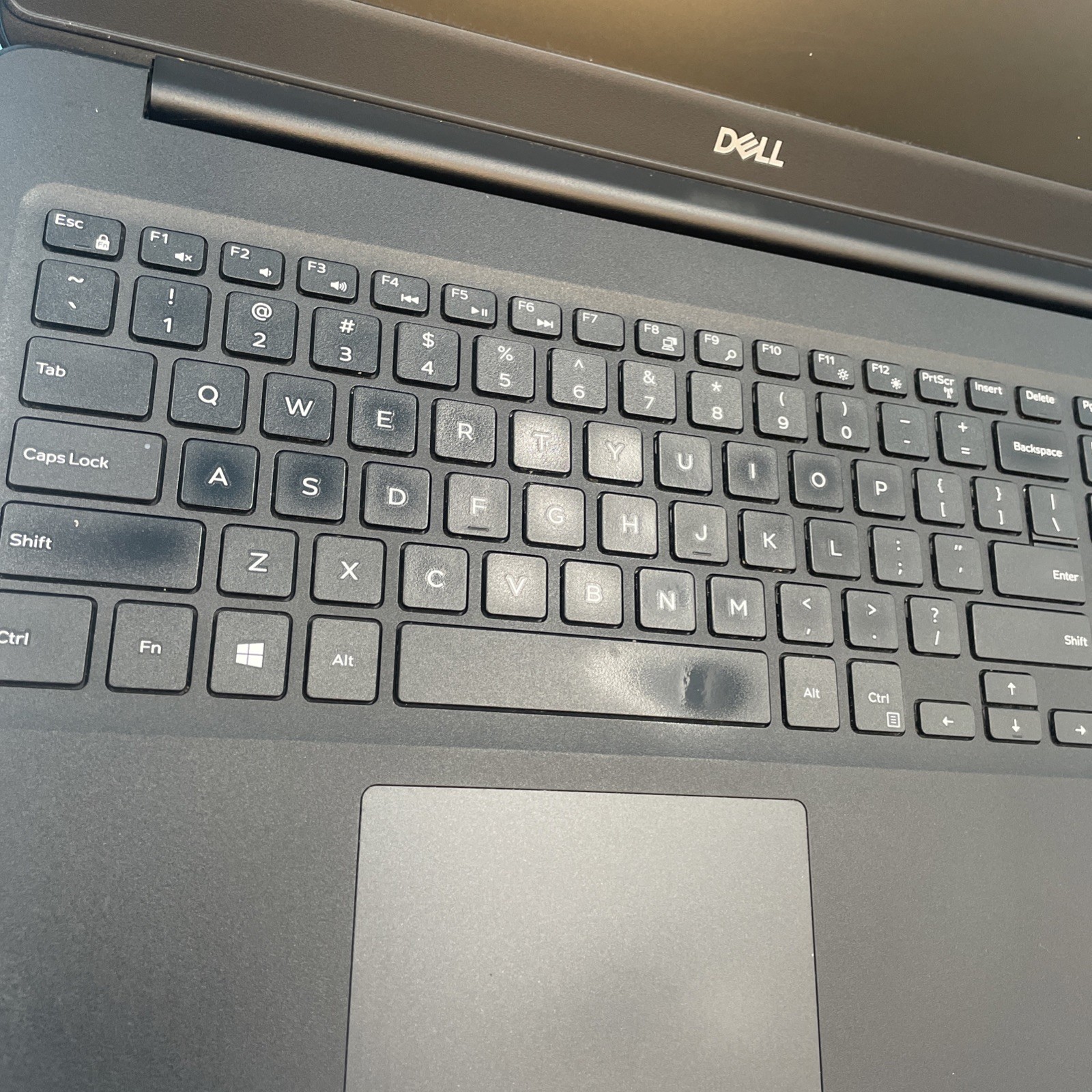 (LOT OF 12) Dell Laptops | i5 8th Gen | 8/16GB RAM** | NO DRIVE **READ** | NO OS