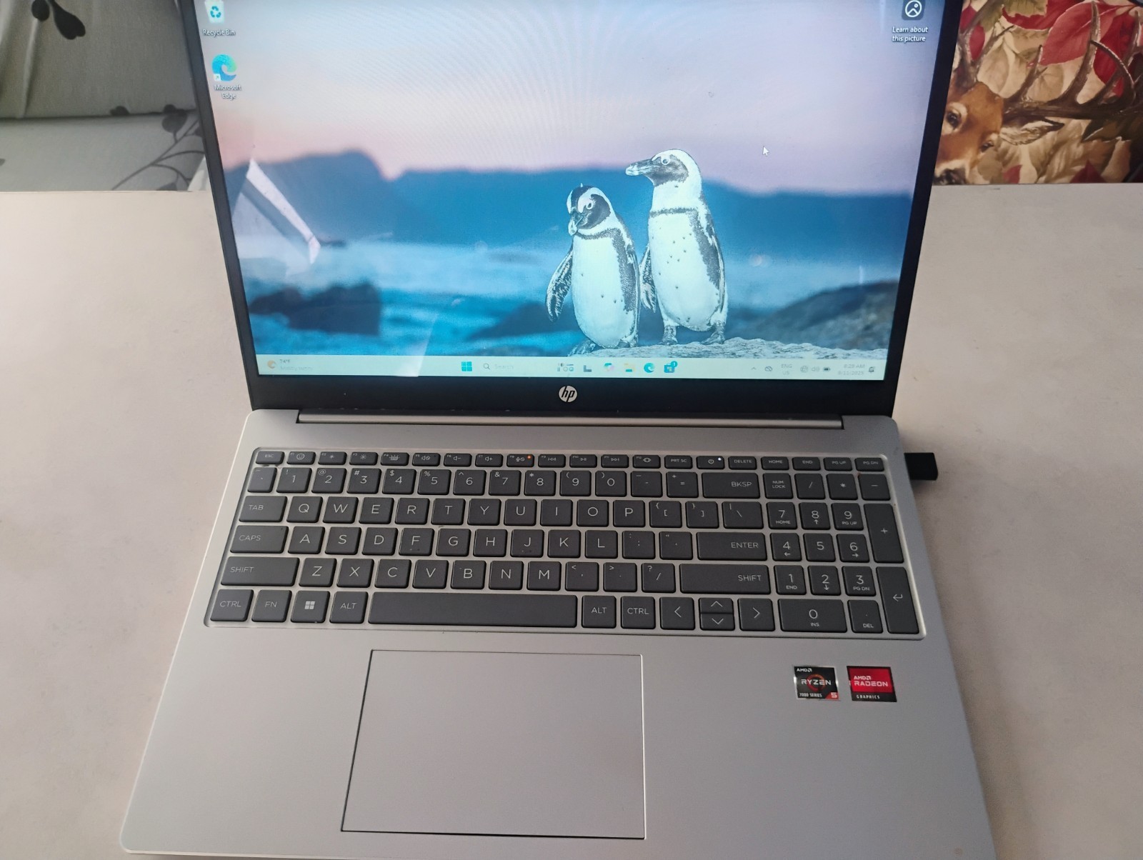 HP 15.6″ Touch Gaming Laptop Ryzen 5 7520U 16GB RAM 1TB SSD FREE SHIPPING