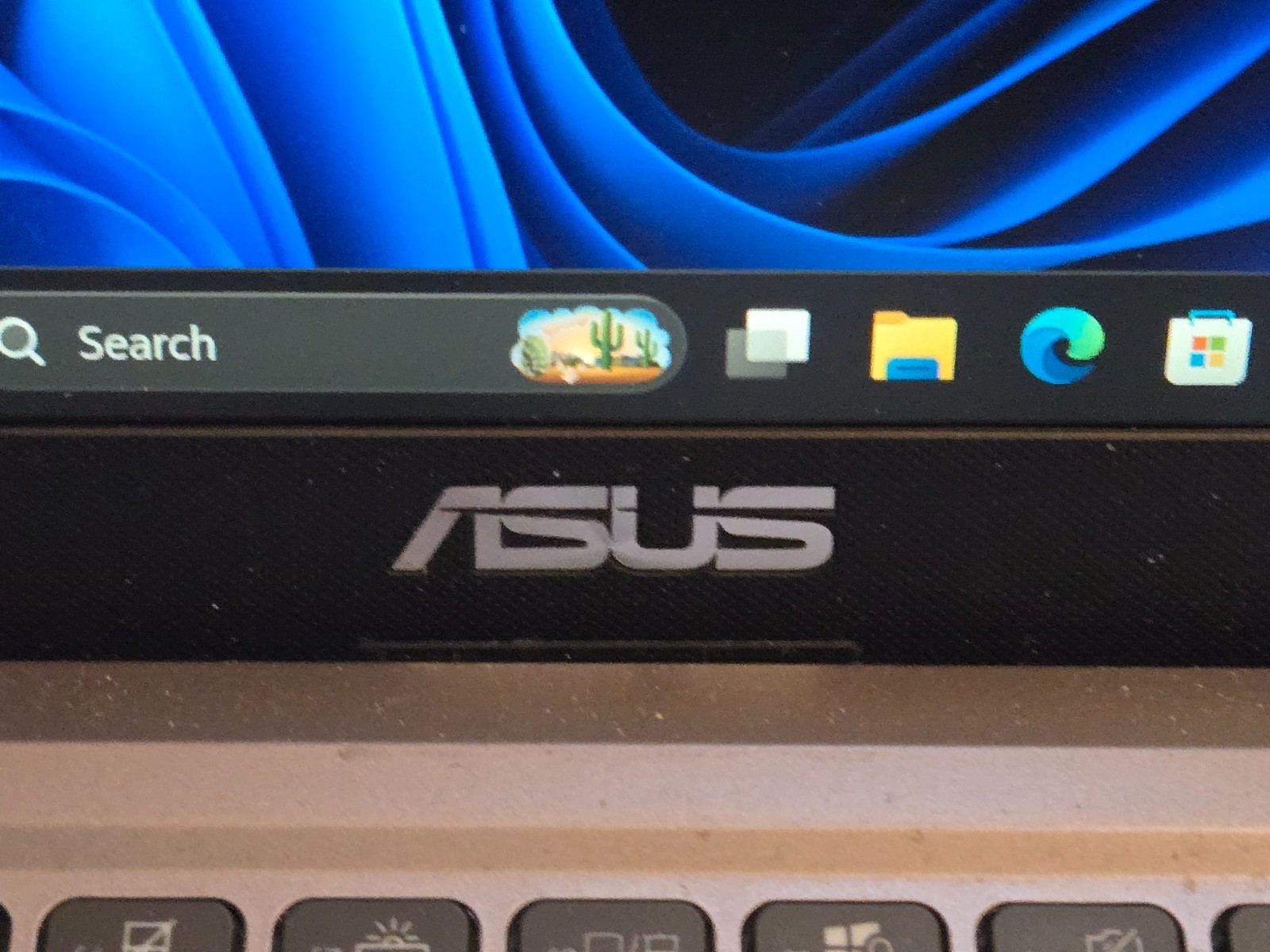 ASUS : M415UA-IS59 AMD Ryzen 5 5500U Mobile Proc 16GB RAM 512GB SSD Win 11 Home