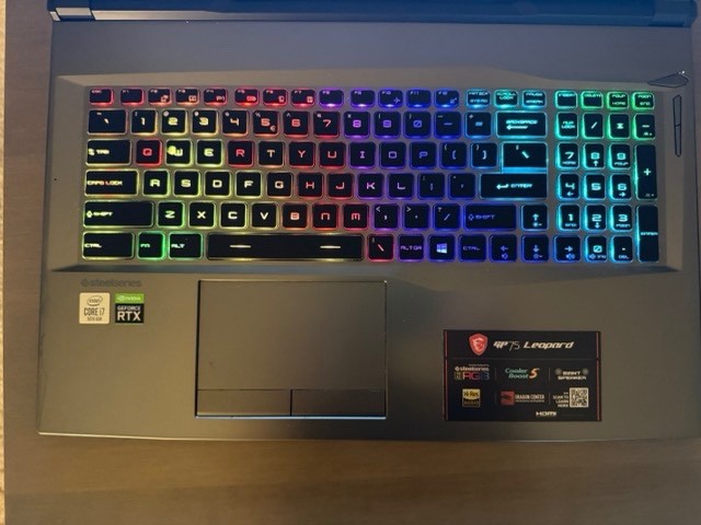 MSI GP75 10SFK-219 i7-10750H RTX 2070 64GB RAM 2TB SSD 240Hz Win11
