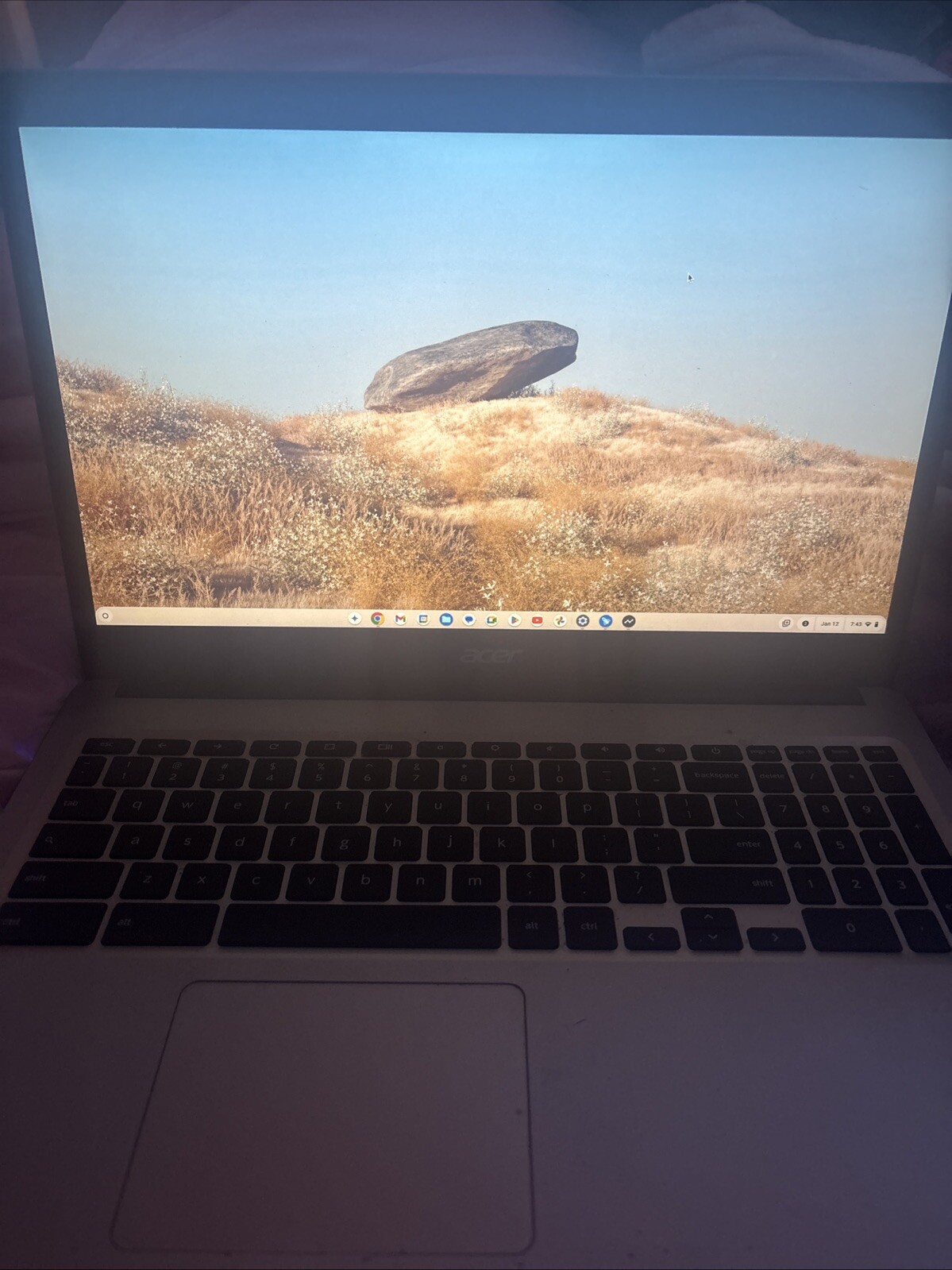 Acer Chromebook 315 (64GB eMMC Intel Celeron N4020 1.1GHz 4GB RAM) Laptop