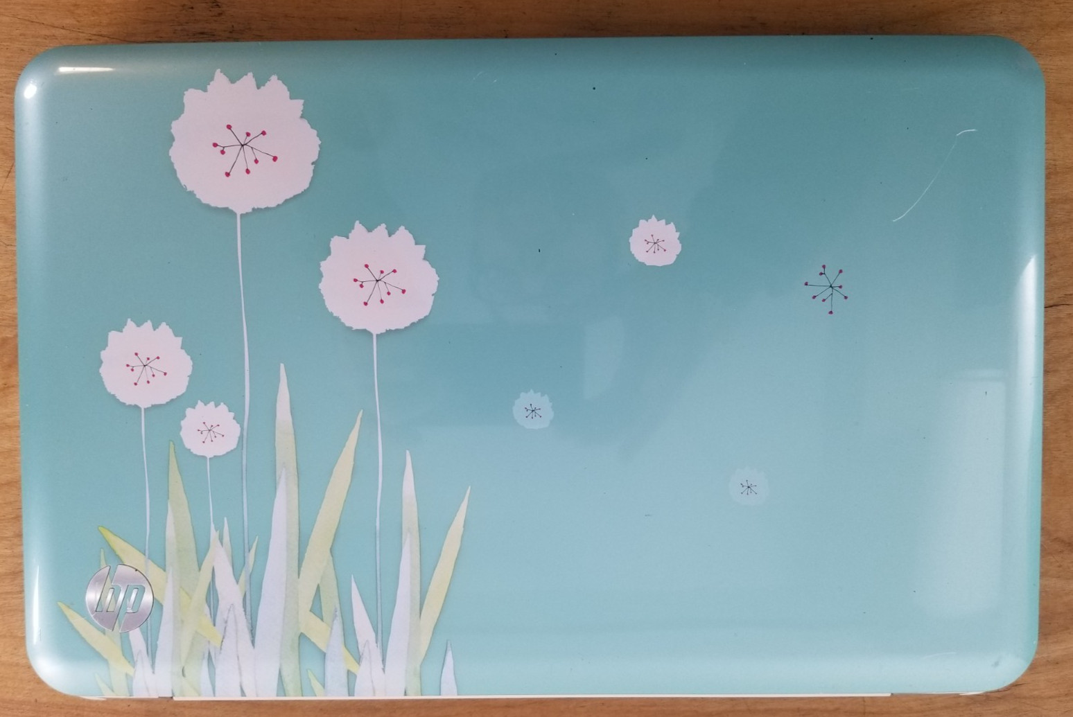 HP Pavilion G6-1B59WM AMD A4-3300M 1.9GHz 4 GB (Flowers) PLEASE READ