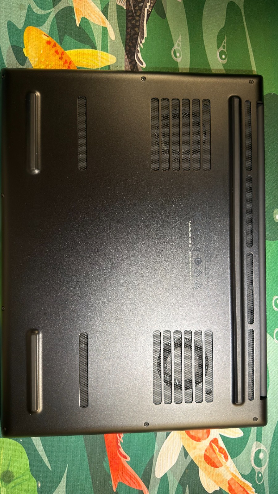 razer blade 14 RTX 4070 32 GB RAM RYZEN 9 8945HS