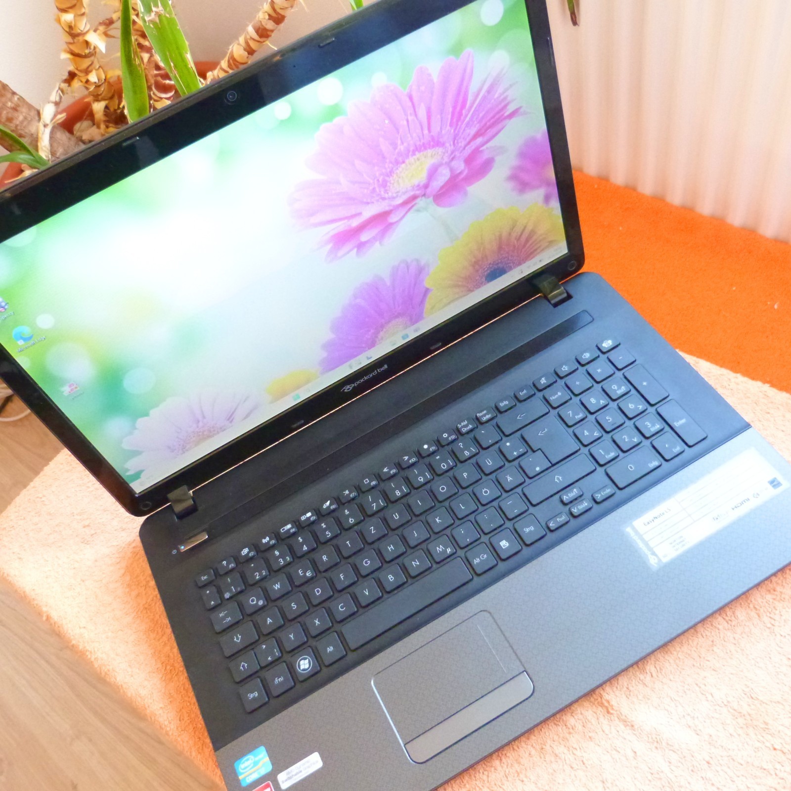 PB LS11 Multimedia 17 inch HDPLUS I 1TB SSD Windows 11 l 8GB RAM Core i7 DVDRW