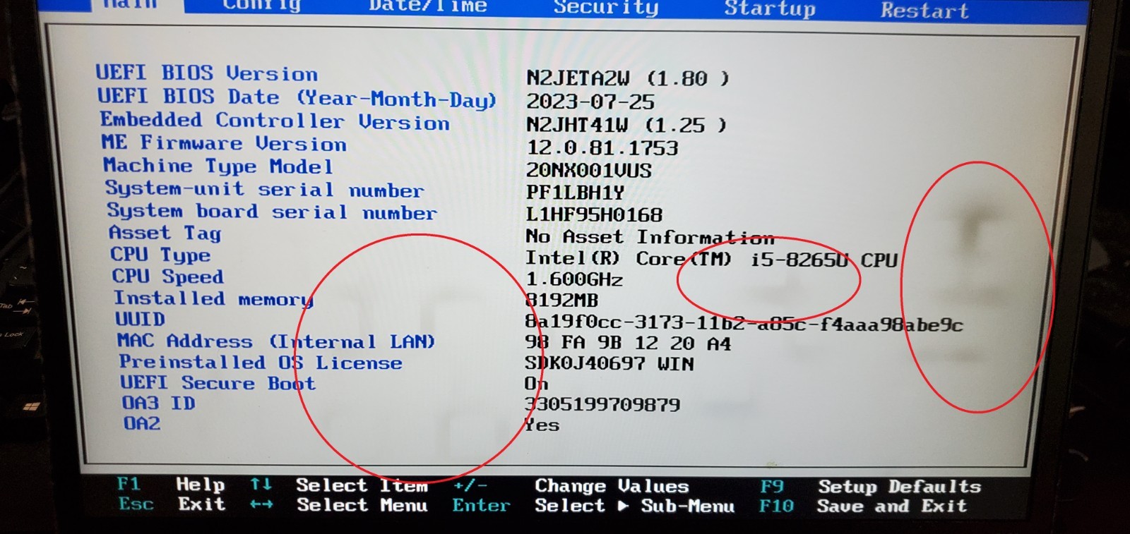 Lenovo ThinkPad T490s Laptop 14″ i5-8th Gen 8GB RAM No SSD/OS/Charger