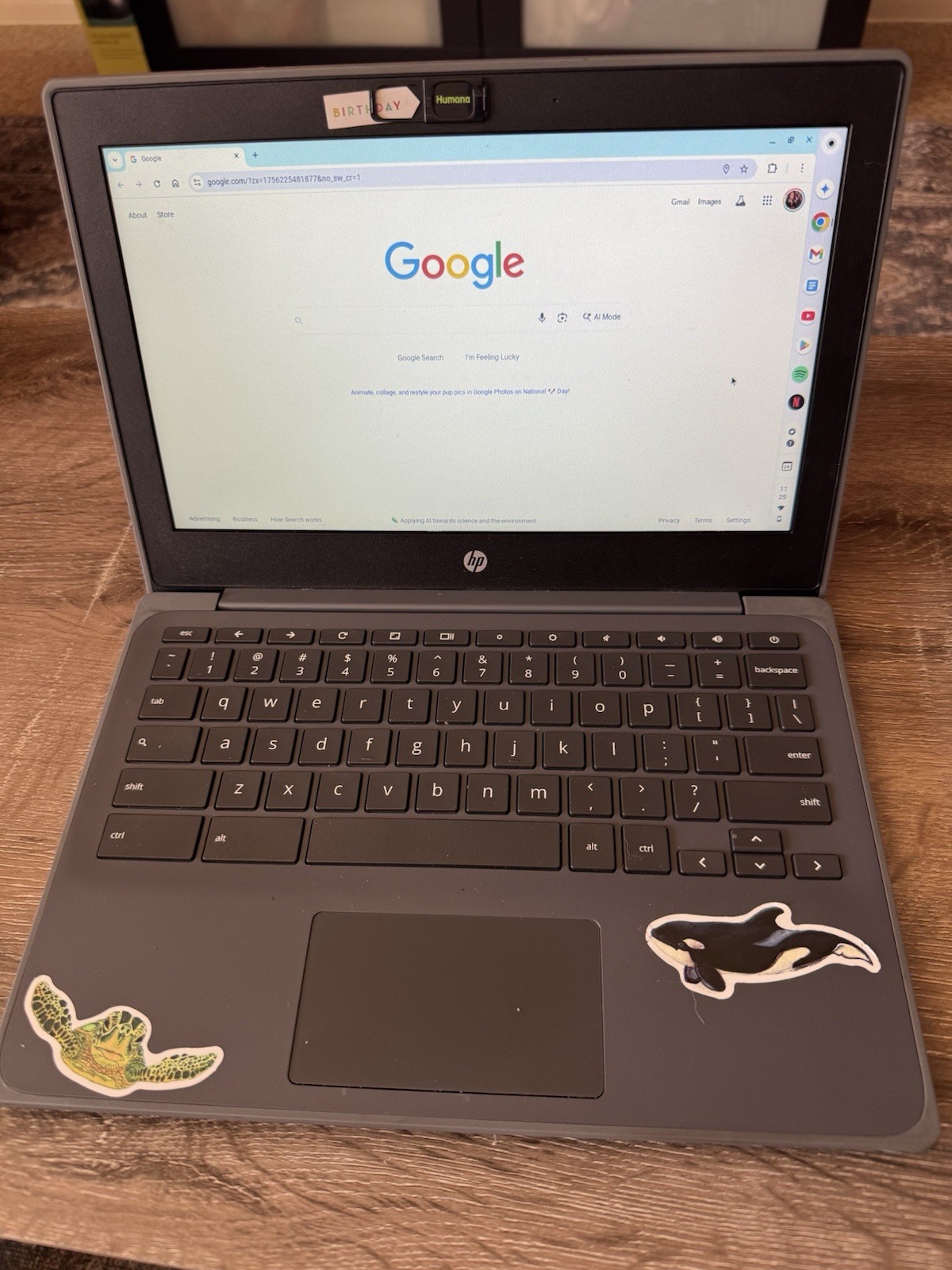 2020 HP Chromebook 11A G8 EE (11.6”) – ChromeOS Laptop w/ Charger