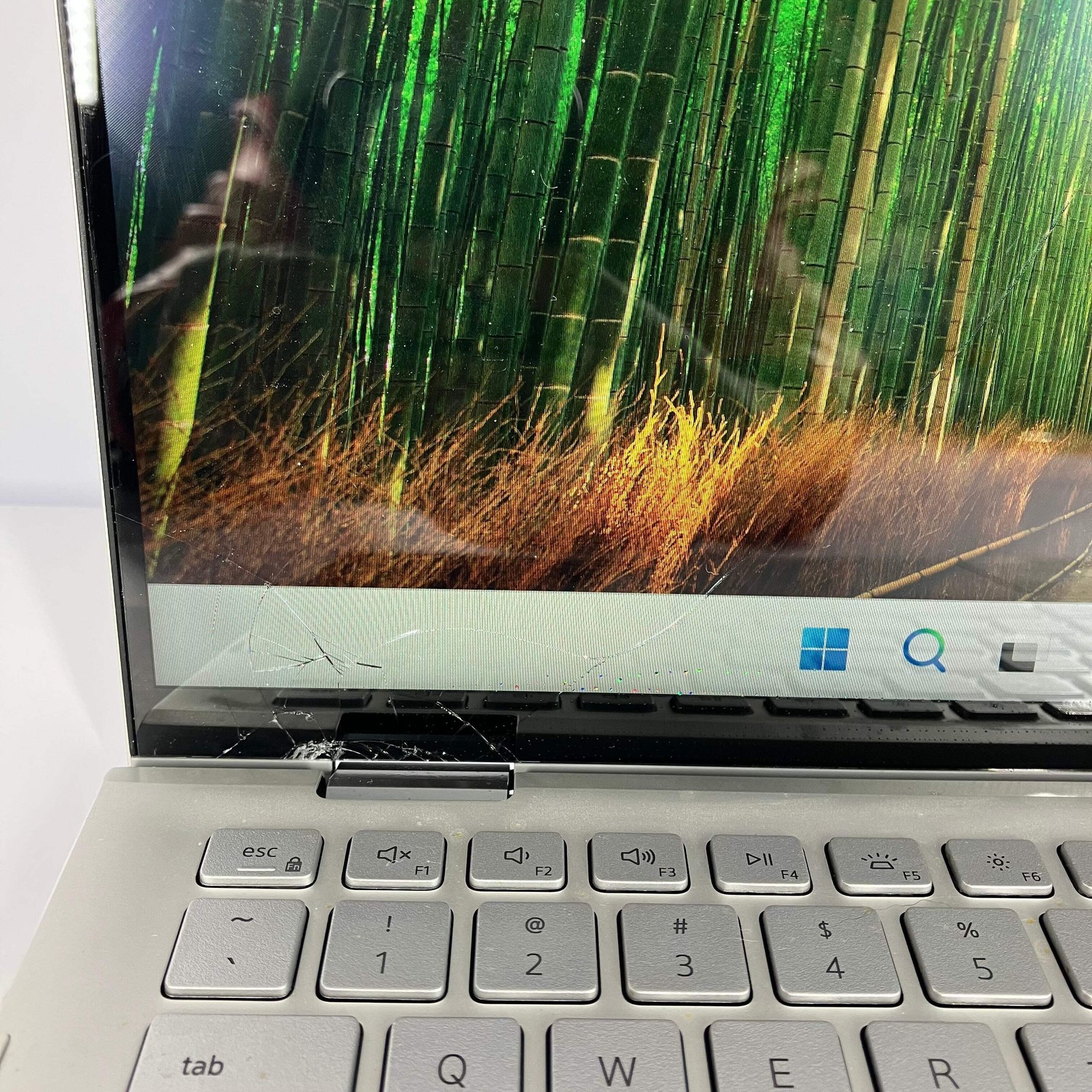 Broken Dell Inspiron 7300 13.3″ i5-10210U 1.6GHz 8GB RAM 512GB SSD Cracked Scree