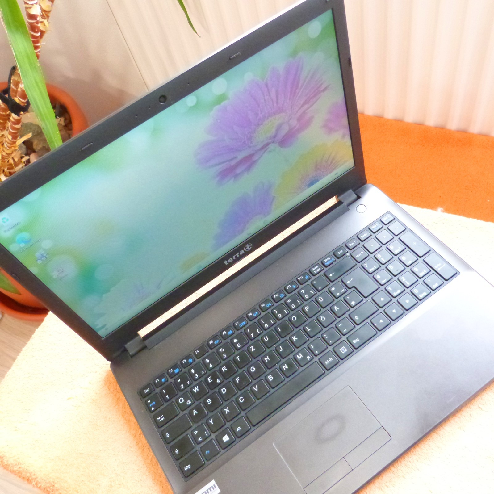 Terra Wortmann 1513 15″ HD Multimedia l 120GB SSD Windows 11 l HDMI USB3