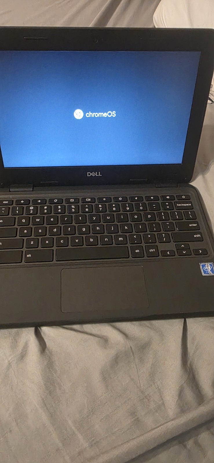 Dell Chromebook 3100 P29t