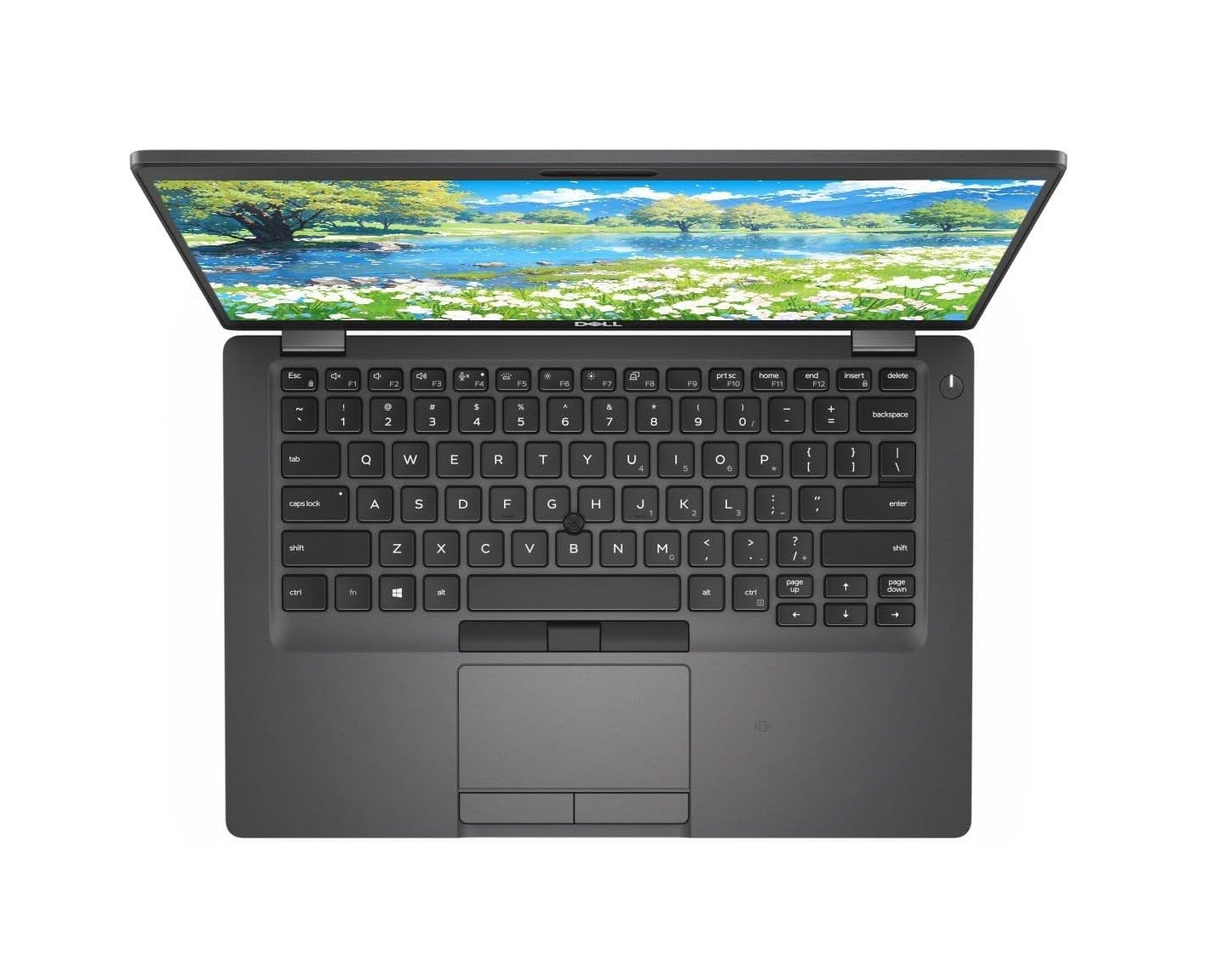 ~CLEARANCE SALE~ 15.6″ Dell Latitude Laptop: 8GB RAM! 256GB SSD! Windows 11!