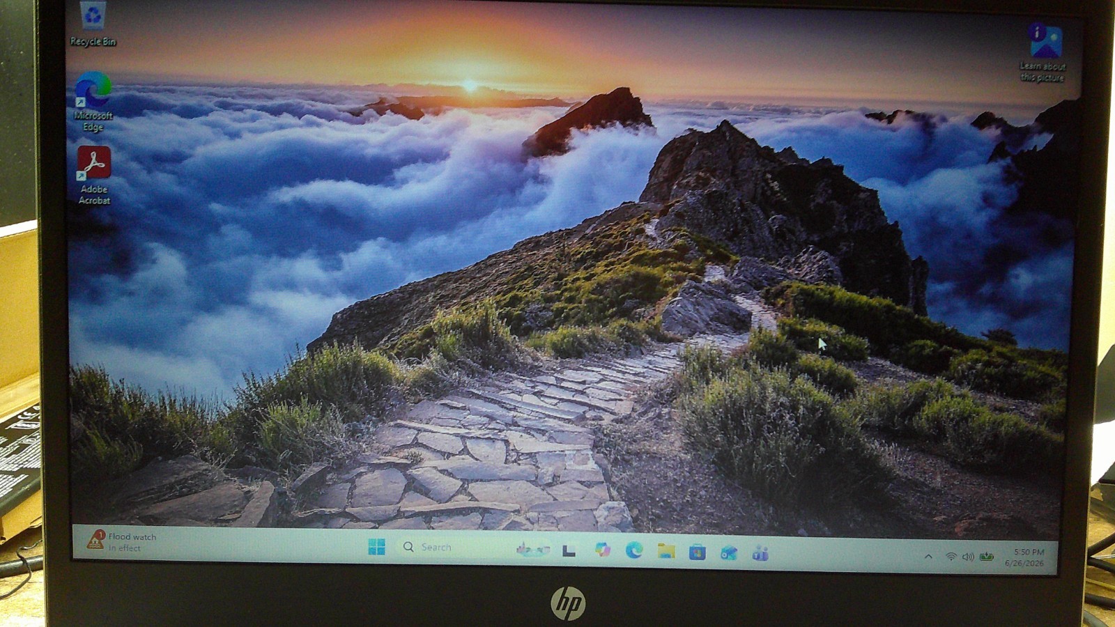 HP PROBOOK 455 G6 RYSEN 5 3500U 16 GIG RAM 256 SSHD WIN 11 NIVIDA VEGA VIDEO