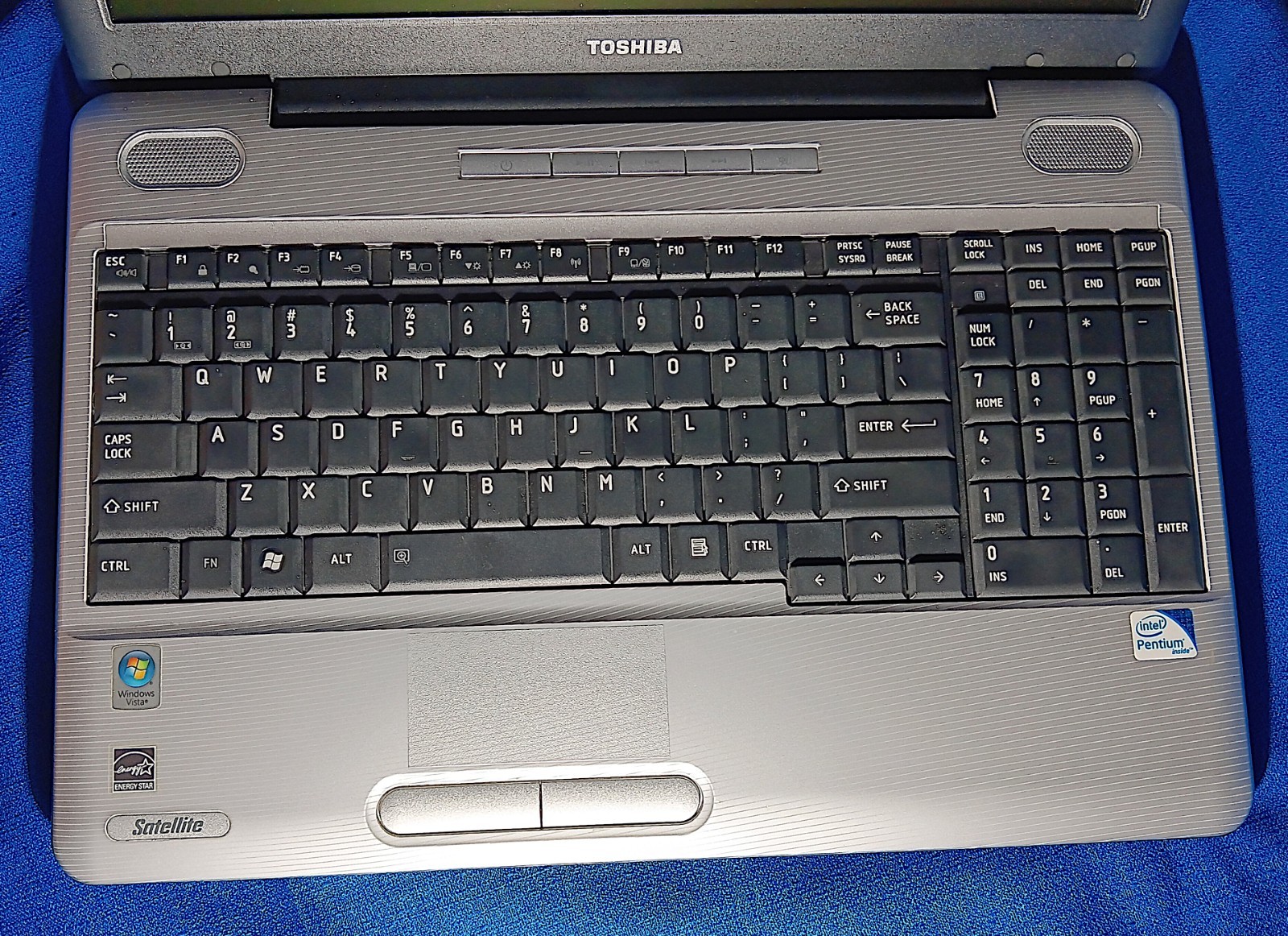 Toshiba Satellite laptop L505-S5964 Linux Mint v19 32 bit 320GB 4GB RAM w/Batt