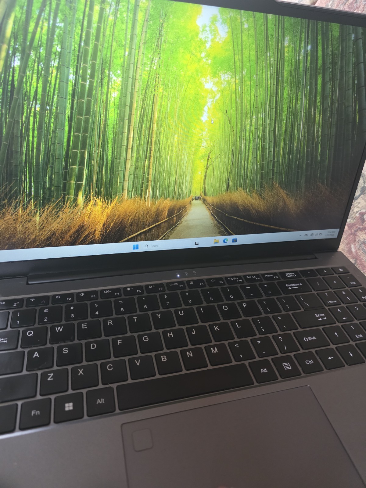 Gaming Laptop, 16GB DDR4 RAM 1TB SSD, Octa-Core 5825U CPU(4.5 GHz) 15.6