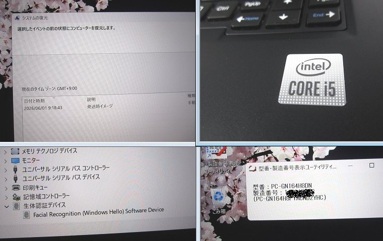 NEC LAVIE Direct PM i5-10210U Intel UHD 8GB SSD 256GB 13.3″ FHD Win11 Home Light