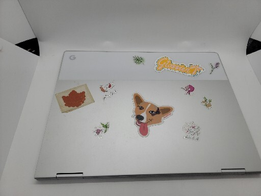 Google Pixelbook COA 7A31G0107H Chrome OS – Silver