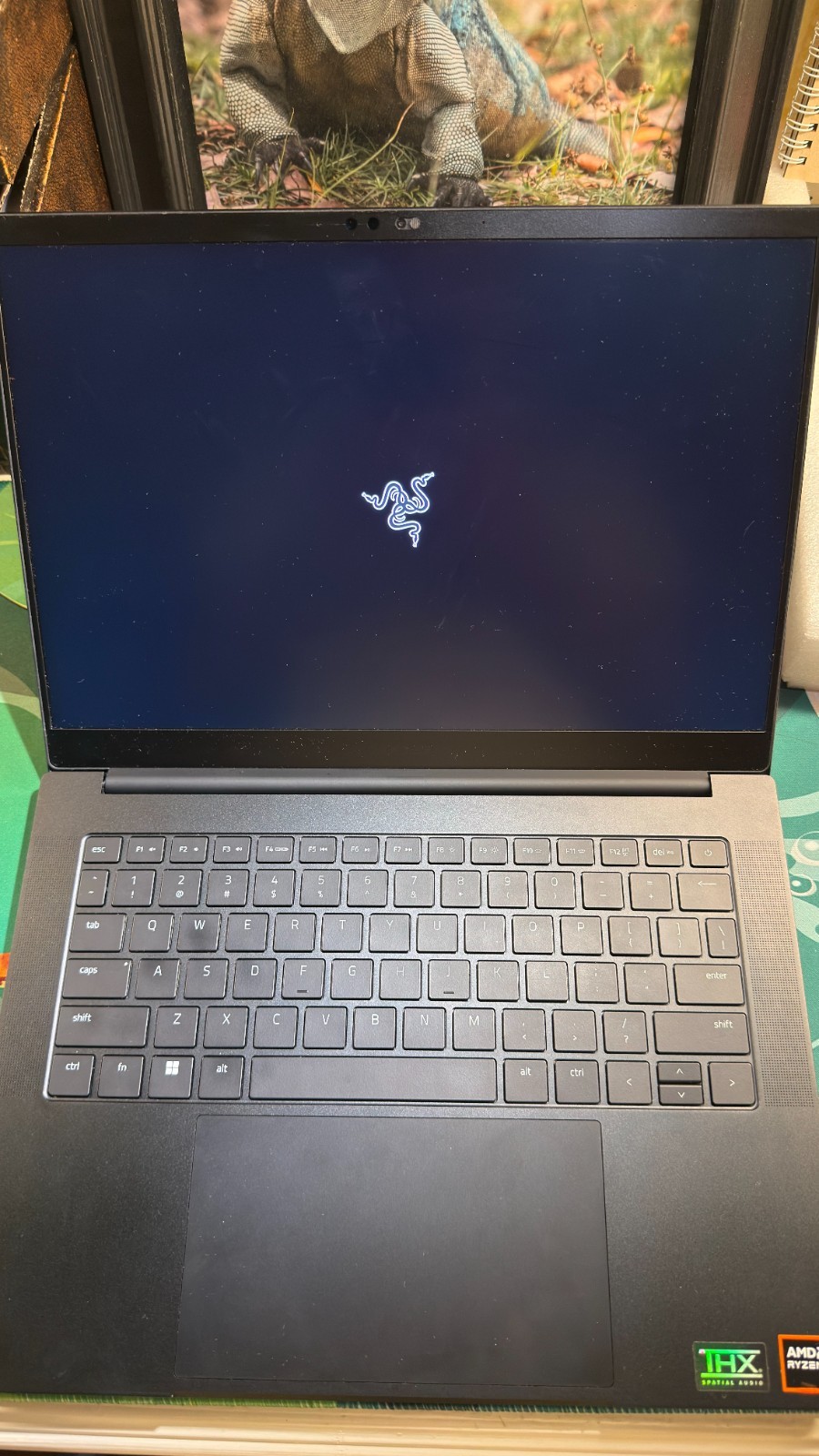 razer blade 14 RTX 4070 32 GB RAM RYZEN 9 8945HS