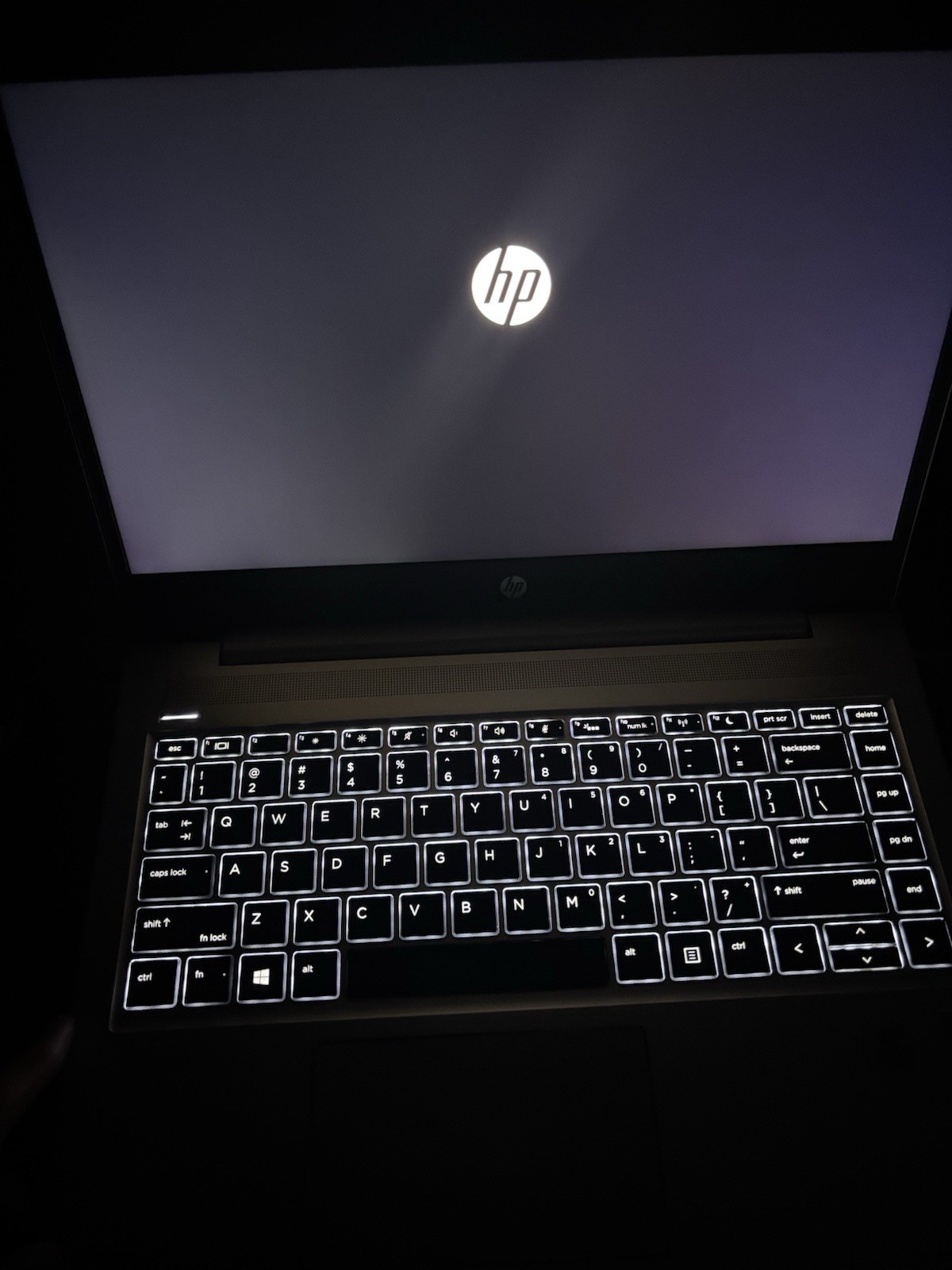 HP ProBook 440 G7 14″ i5-10210U 8GB 238GB SSD Win 11 Backlit Silver